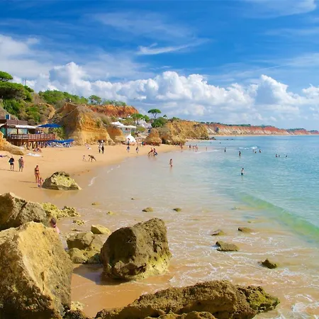 Апартаменты House Vidinha *